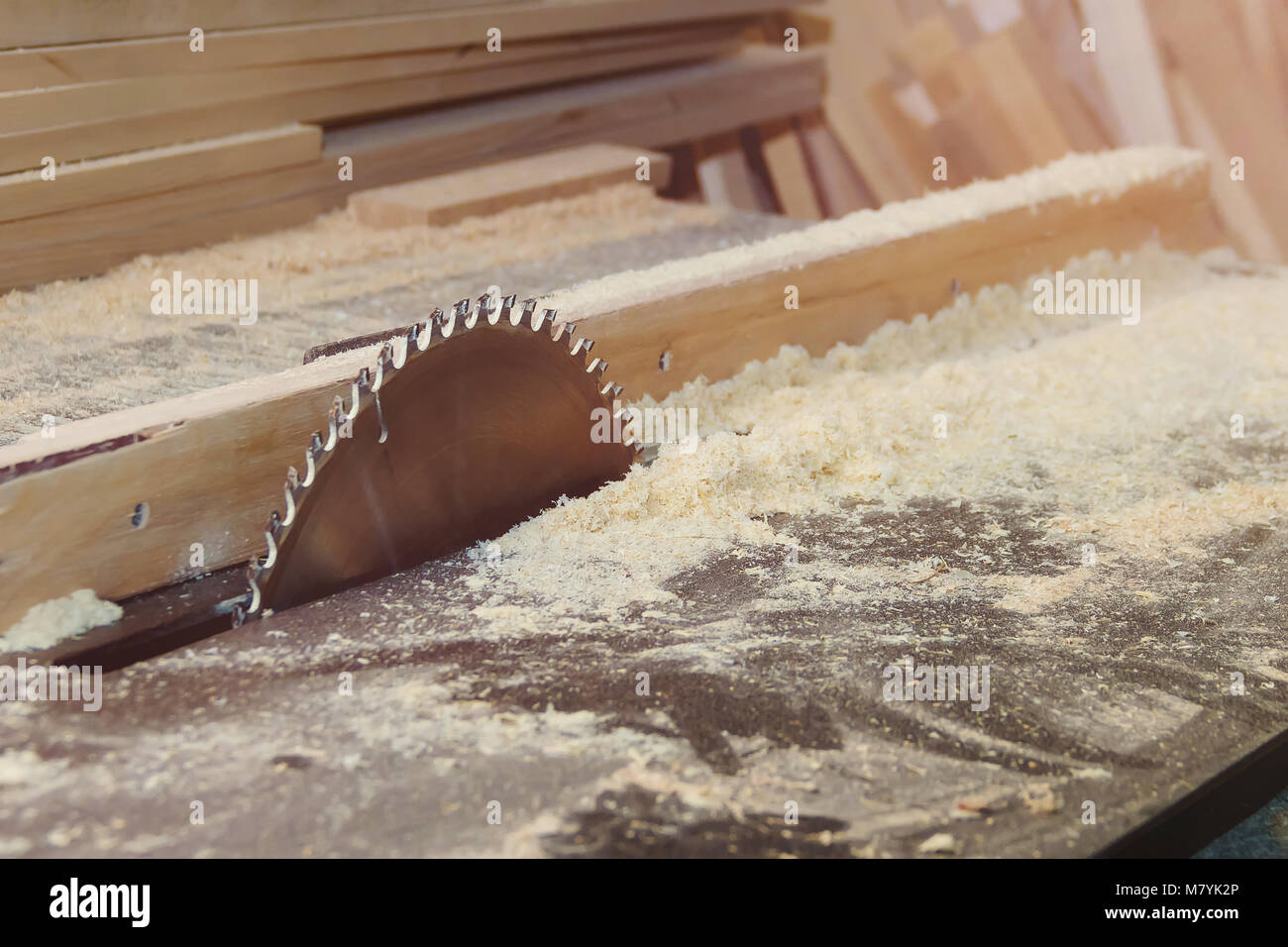 Atelier du menuisier ébéniste - Travail du bois. Electric Backsaw avec Copyspace. Banque D'Images Atelier du menuisier ébéniste - Travail du bois. Electric Backsaw avec Copyspace. Banque D'Images