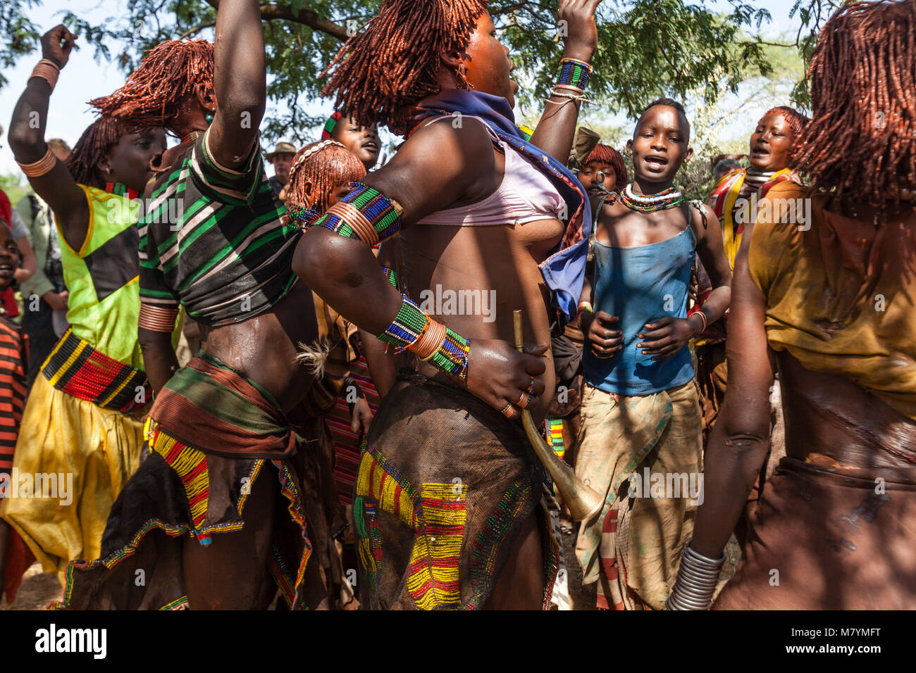 Les jeunes femmes Hamar Dancing un taureau sautant Cérémonie, Dimeka, vallée de l'Omo, Ethiopie Banque D'Images