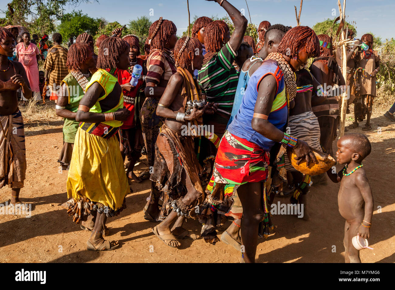 Les jeunes femmes Hamar Dancing un taureau sautant Cérémonie, Dimeka, vallée de l'Omo, Ethiopie Banque D'Images