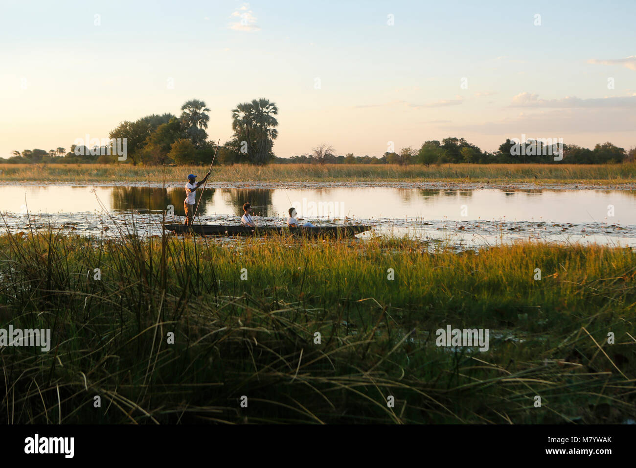 Un Themlakane les flotteurs Mokoro River Banque D'Images