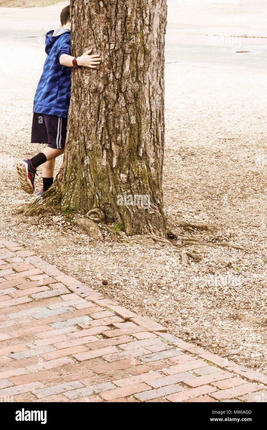 Un jeune garçon joue à cache-cache derrière un gros arbre Banque D'Images