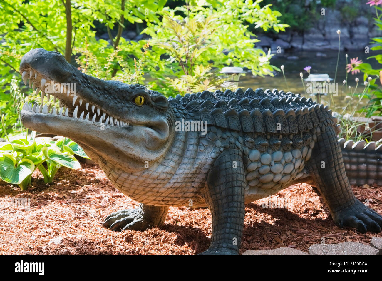 Crocodile en plastique sculpture dans une cour avant paysagée jardin en été. Banque D'Images