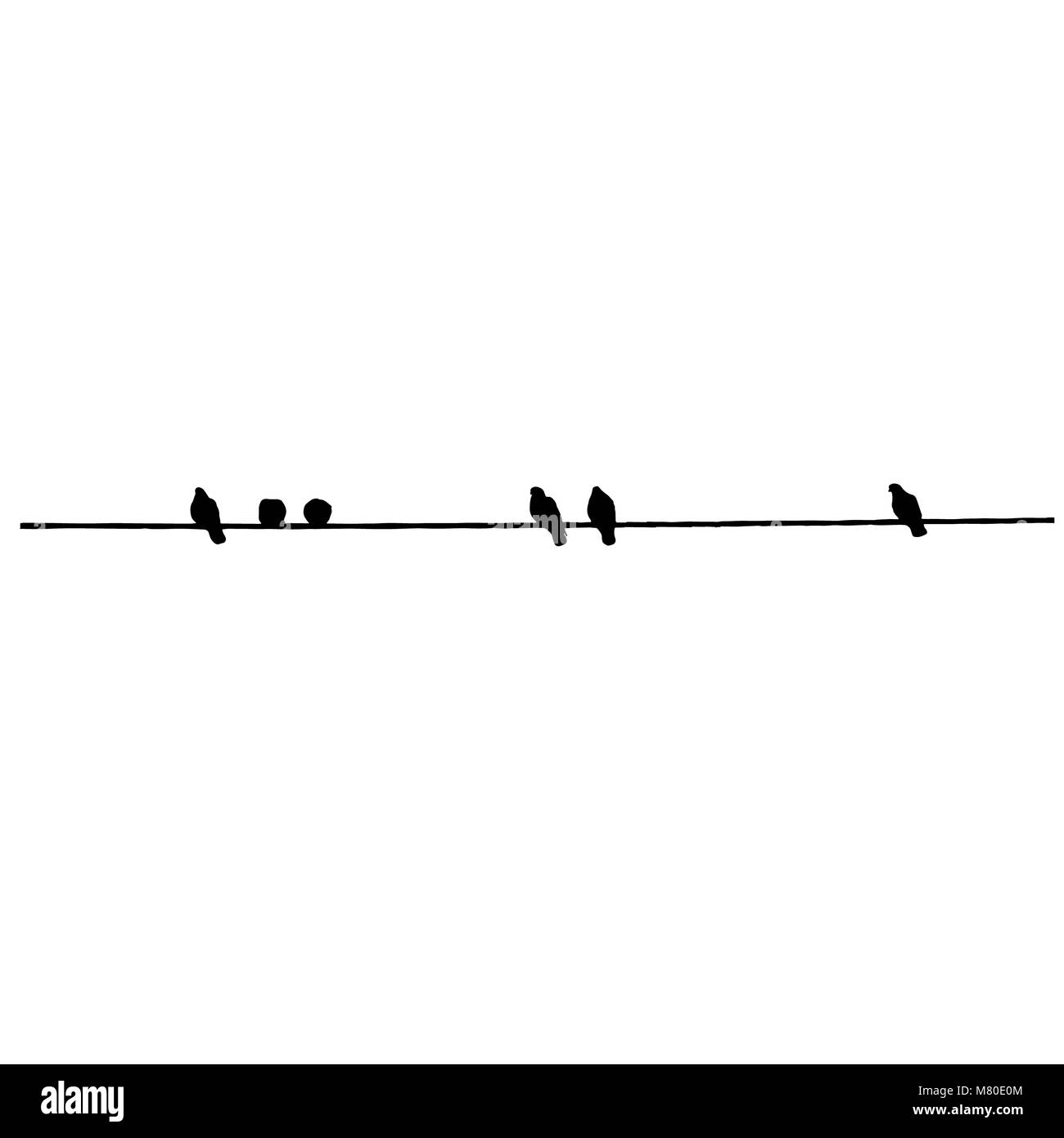 Silhouettes Pigeon sur le fil. Vector illustration Banque D'Images
