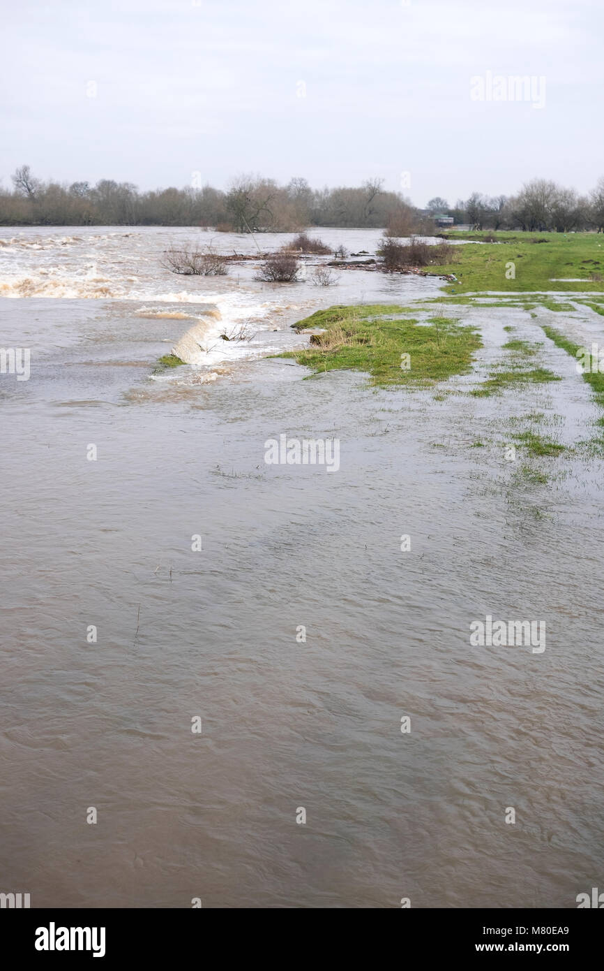 L'inondation sur la rivière Trent près de Sawley, Derbyshire, Royaume-Uni Banque D'Images