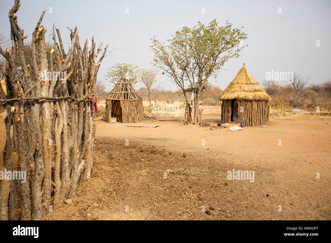 ETOSHA NP, la Namibie : la faune dans le Parc National d'Etosha, Namibie Banque D'Images