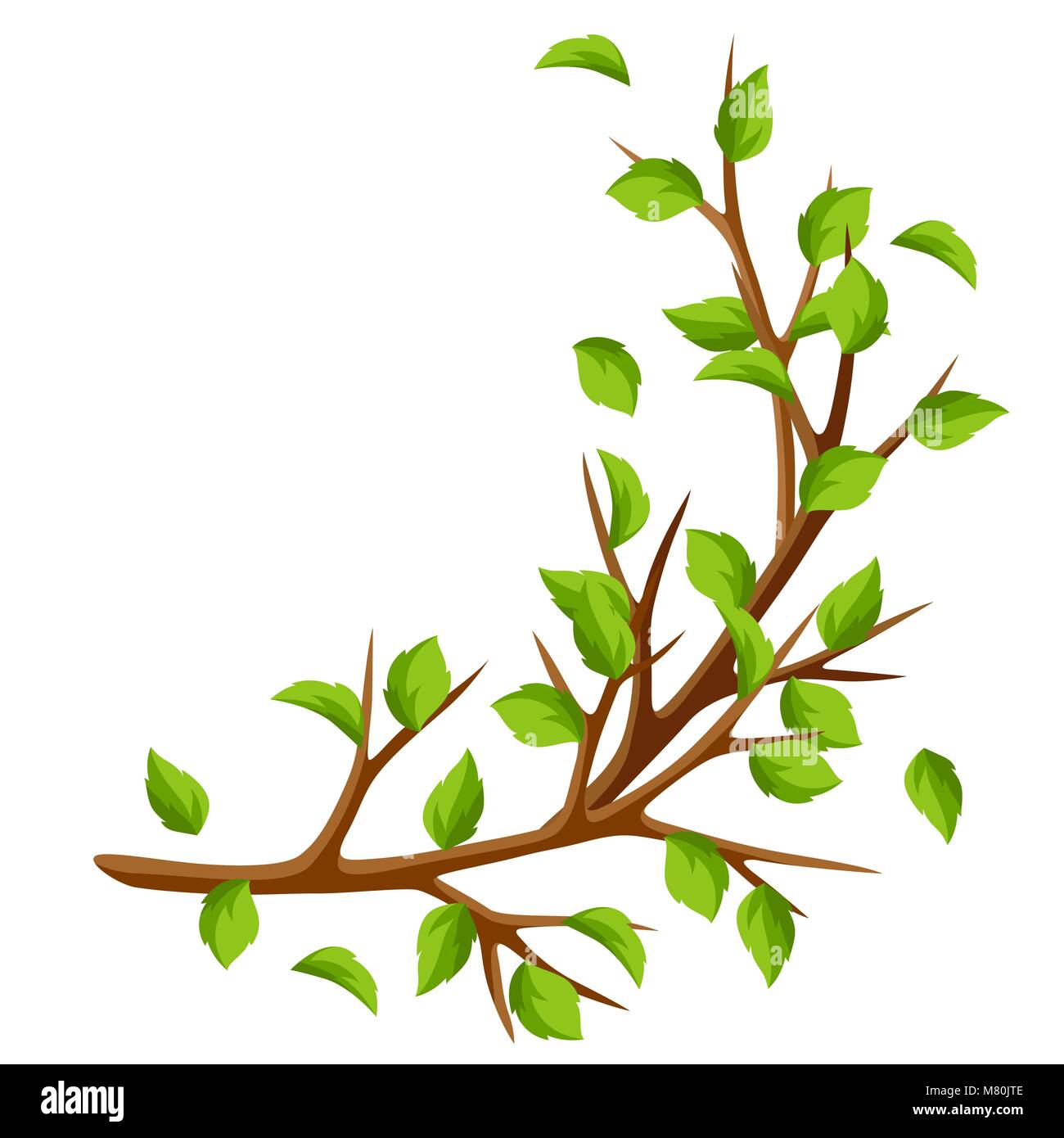 Direction générale de l'été de l'arbre et de feuilles vertes. Illustration de saison Illustration de Vecteur
