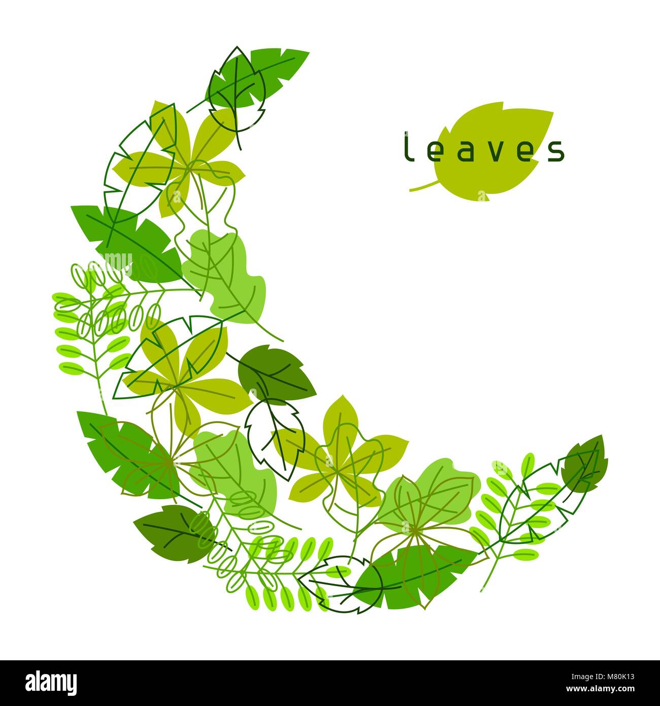 Carte naturel vert feuilles stylisées avec. Le feuillage au printemps ou en été Illustration de Vecteur