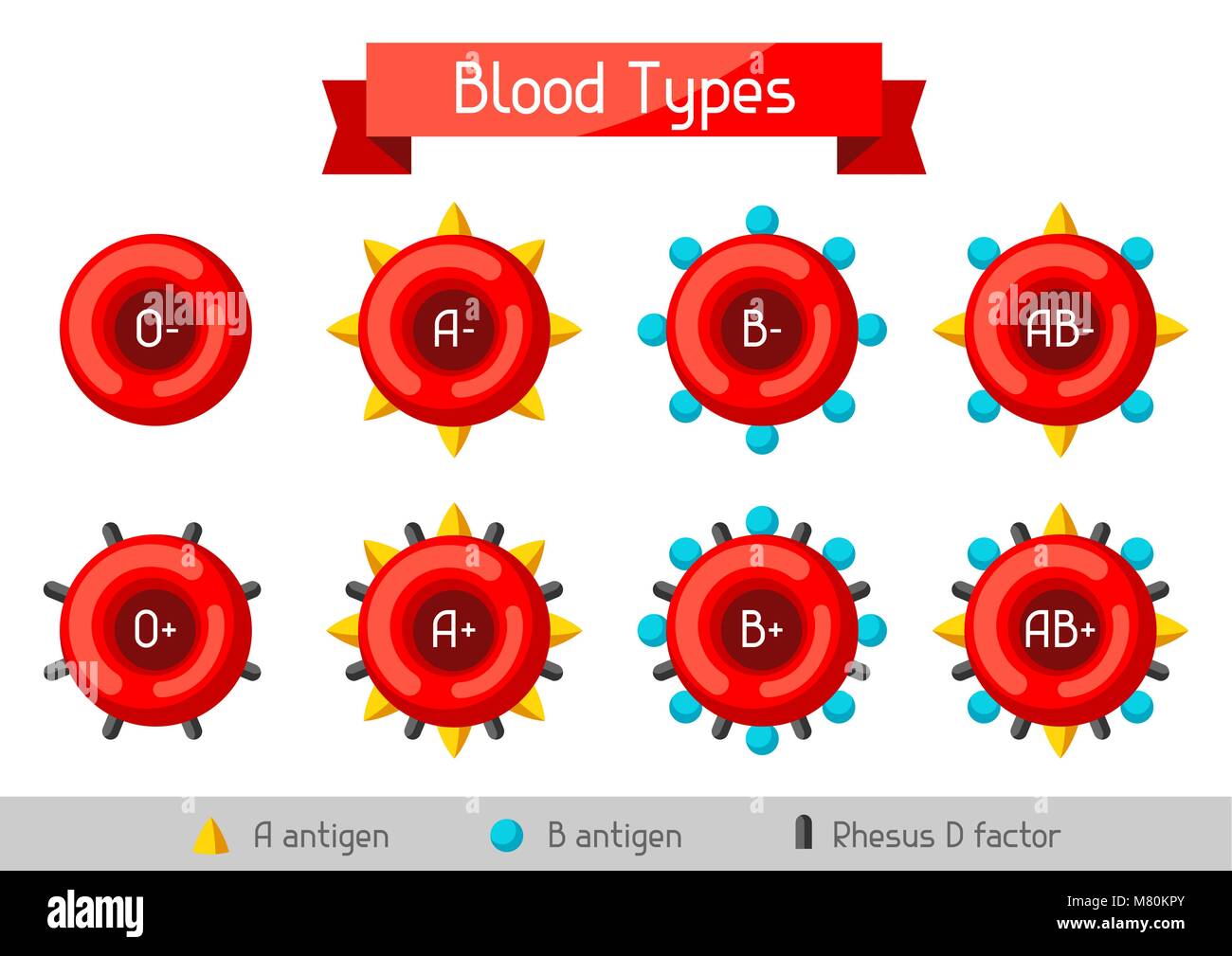 Ensemble de types de cellules sanguines. Soins médicaux et infographie Illustration de Vecteur