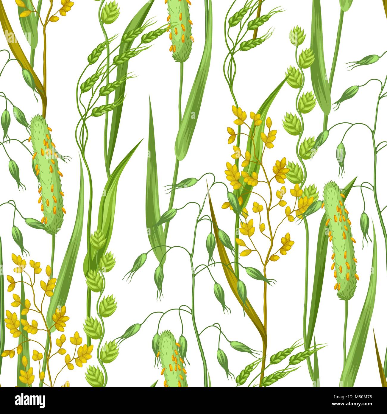 Modèle transparent avec des herbes et des céréales de l'herbe. Ornement Floral plantes de prairie Illustration de Vecteur