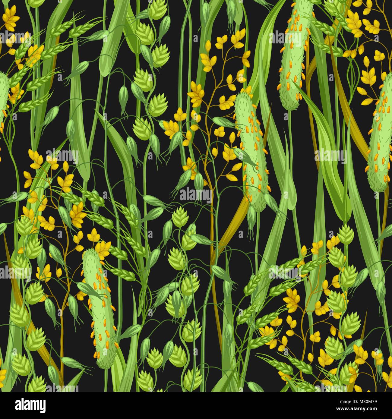 Modèle transparent avec des herbes et des céréales de l'herbe. Ornement Floral plantes de prairie Illustration de Vecteur