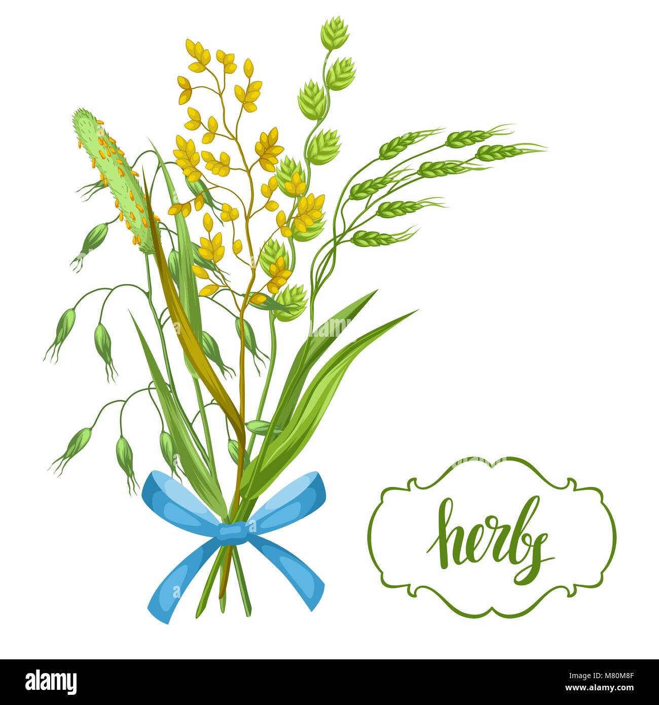 Bouquet avec des herbes et des céréales de l'herbe. Floral design de plantes de prairie Illustration de Vecteur