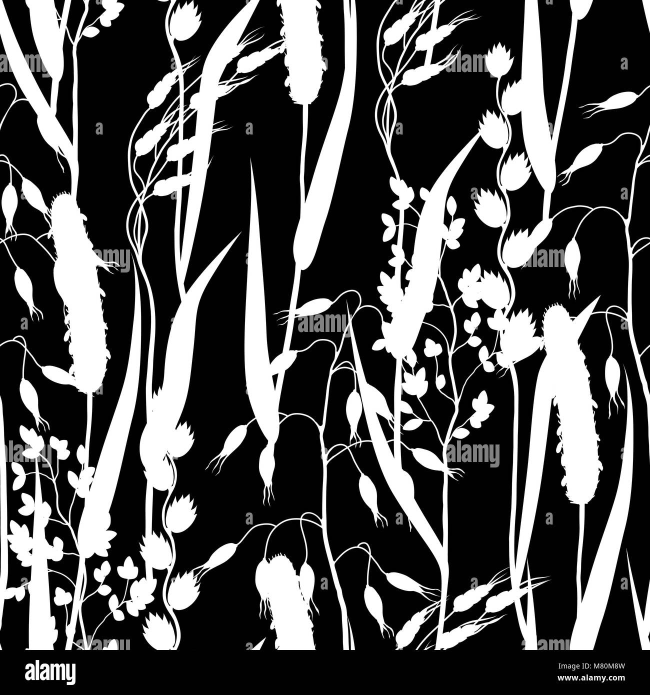 Modèle transparent avec des herbes et herbe de céréale de silhouettes. Ornement Floral plantes de prairie Illustration de Vecteur