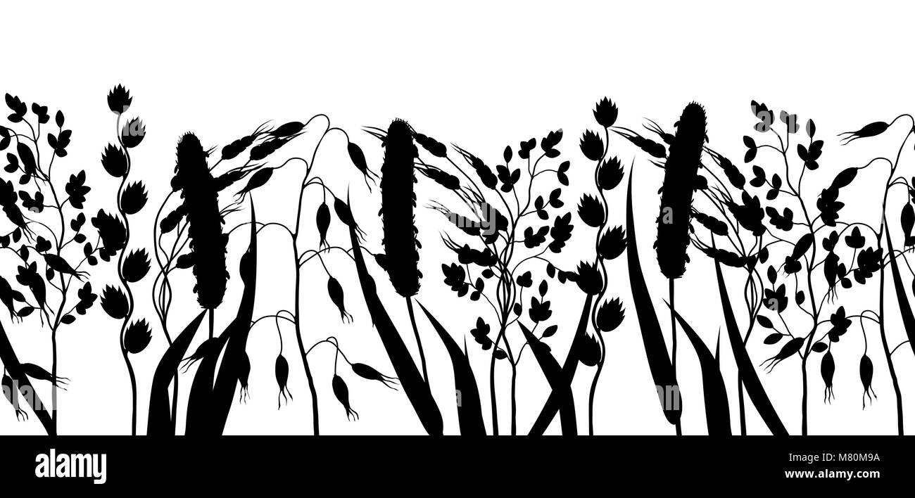 Frontière perméable aux herbes et herbe de céréale de silhouettes. Ornement Floral plantes de prairie Illustration de Vecteur