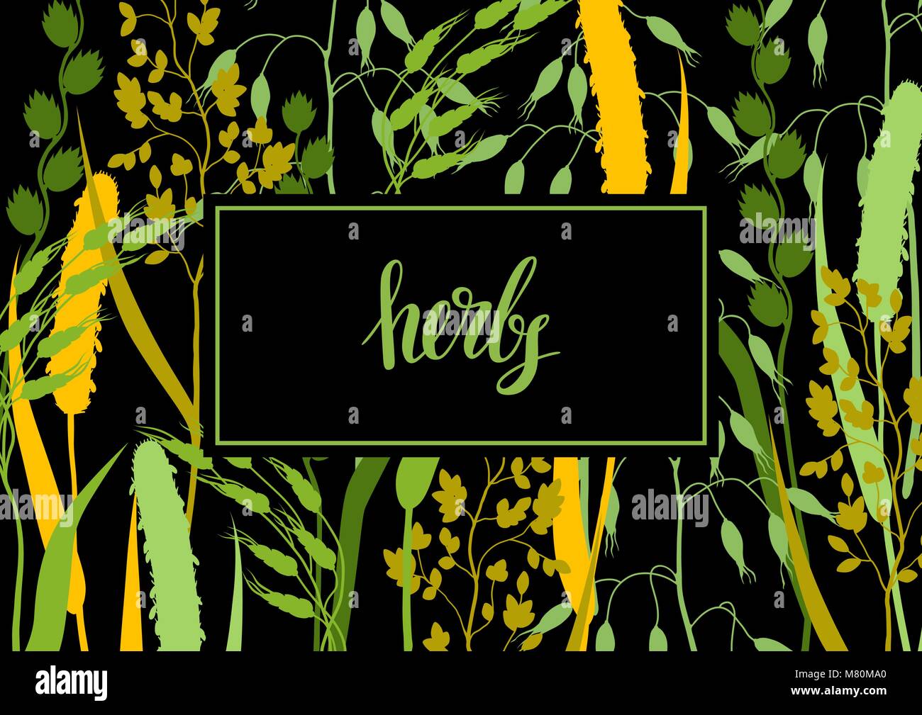 Arrière-plan avec les herbes et herbe de céréale de silhouettes. Floral design de plantes de prairie Illustration de Vecteur