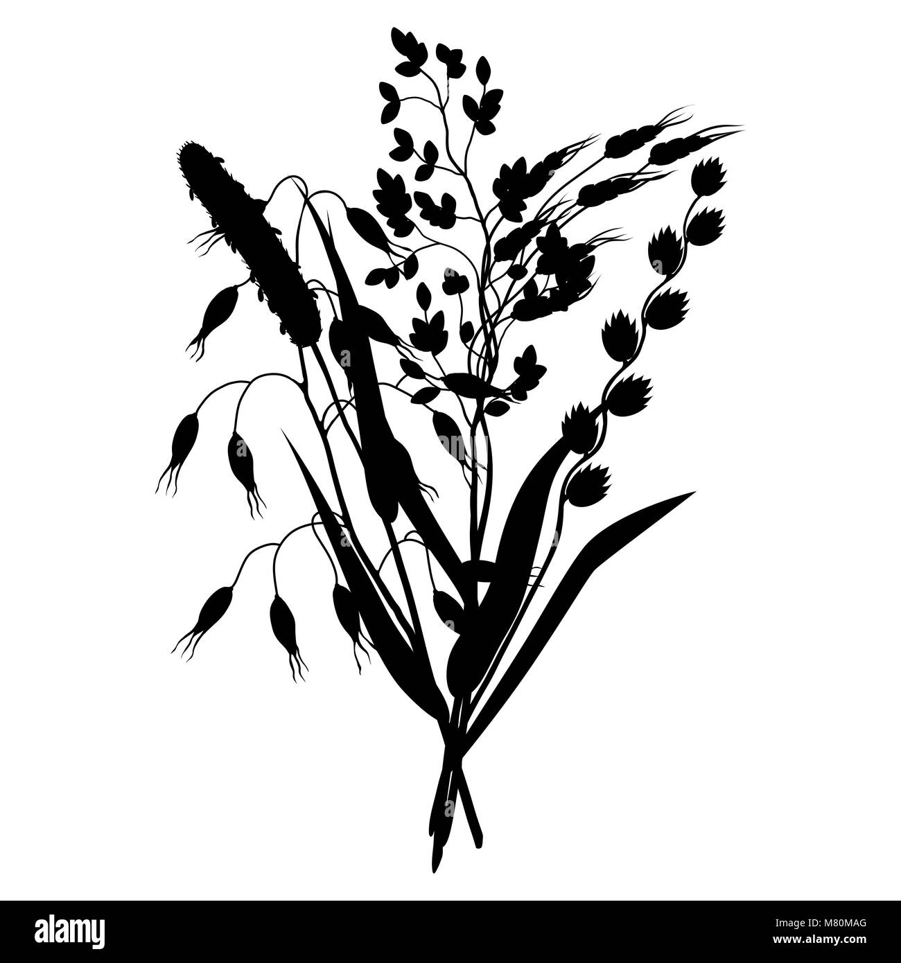 Bouquet d'herbes et herbe de céréale de silhouettes. Floral design de plantes de prairie Illustration de Vecteur