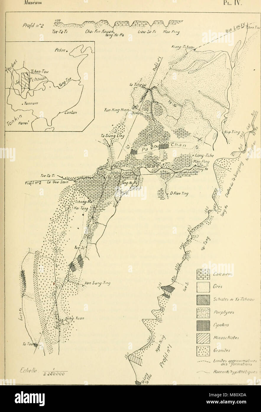 Bulletin du Musum national d'histoire naturelle ((1895-1970)) (20440360625) Banque D'Images