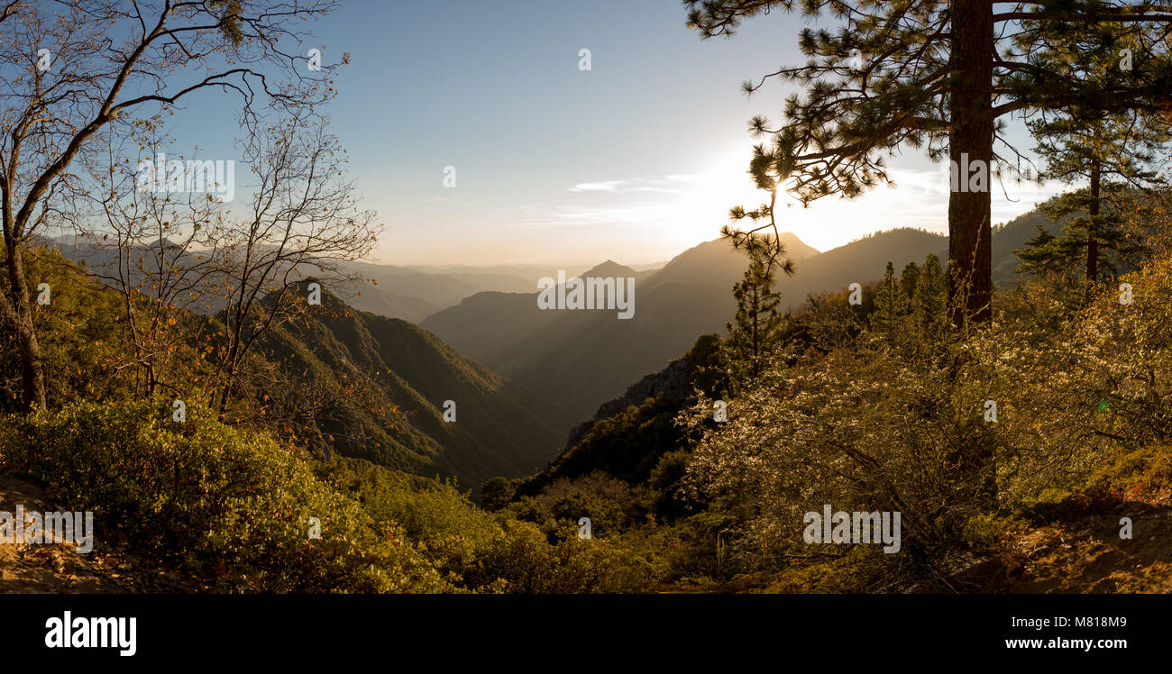 Kings Canyon Sequoia National Park en Californie Banque D'Images