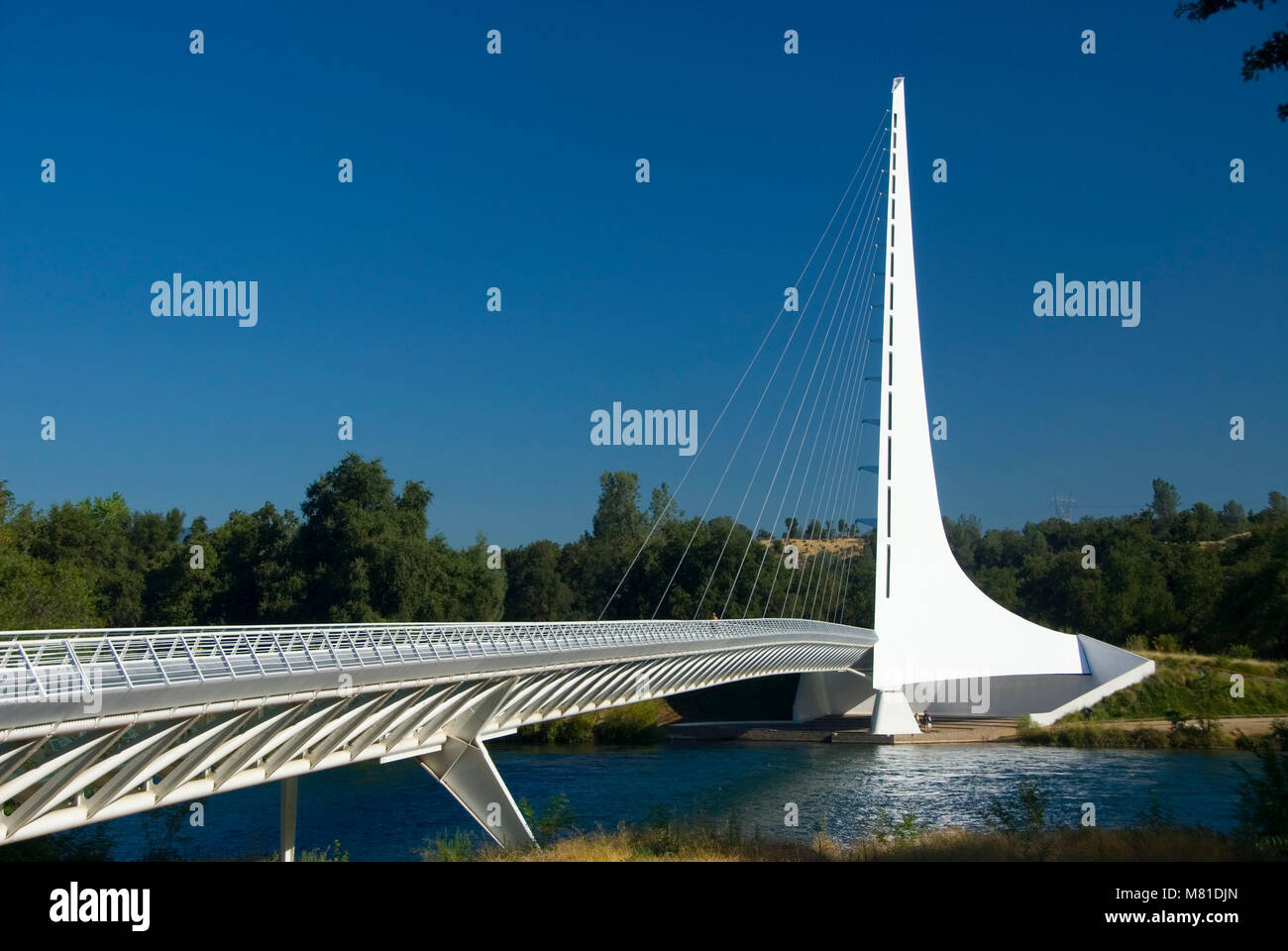 Sundial Bridge, Turtle Bay Exploration Park et Redding, Californie Banque D'Images