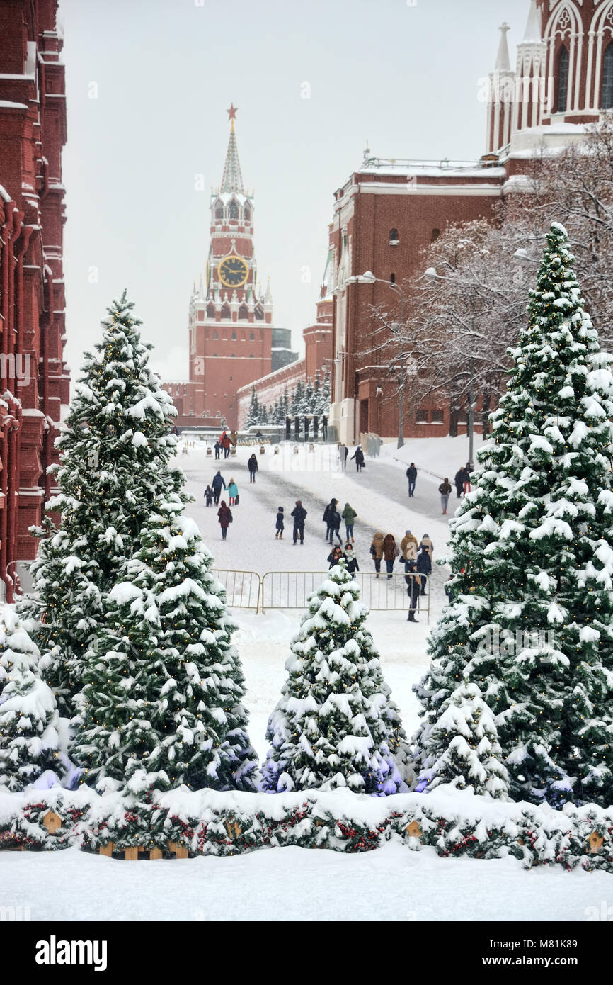 Les tours du Kremlin entouré par les arbres de Noël dans la neige Banque D'Images