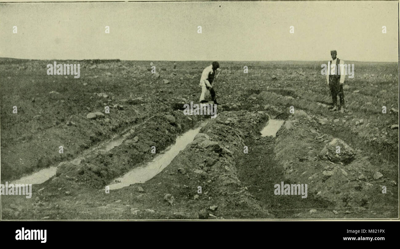 « Sucre de canne » (1921) est un manuel sur les processus agricoles impliqués dans la culture de la canne à sucre et la production de sucre de canne. Il couvre les techniques de culture, les procédés de fabrication et l'analyse des produits sucriers, servant de guide complet pour l'industrie sucrière. Banque D'Images