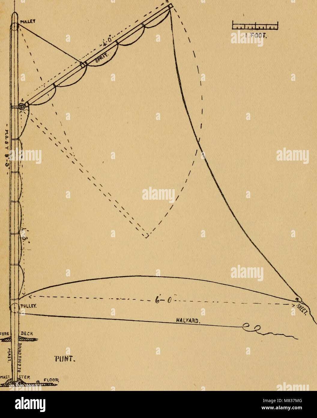 Complete Wildfowler (1912) est un guide de la sauvagine, détaillant les techniques de chasse, les outils et les espèces d'oiseaux ciblés pour ce sport. Il offre des conseils pratiques sur l'équipement, les méthodes de tir et les tactiques de terrain pour les chasseurs de différents niveaux de compétence. Banque D'Images