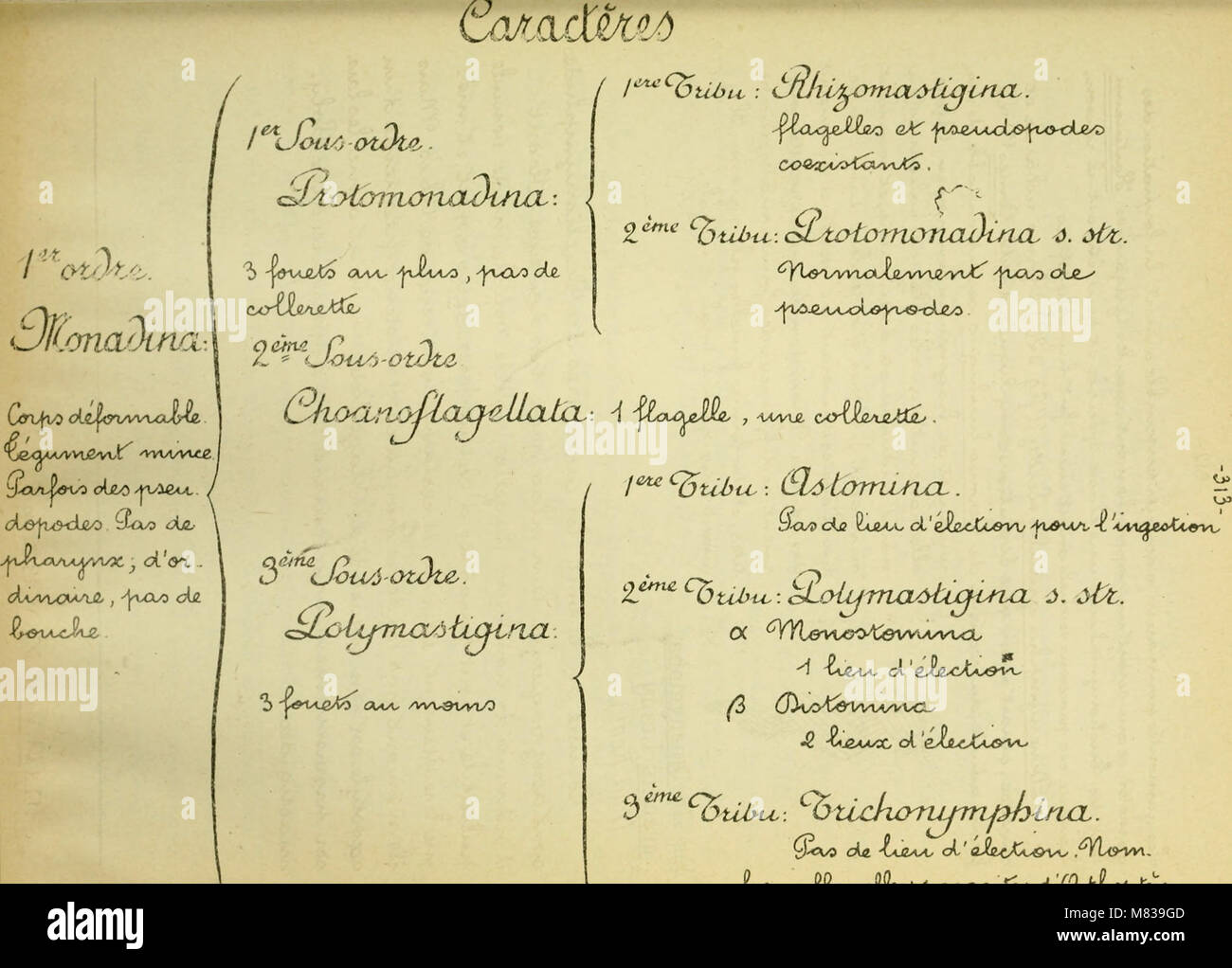 Confnces de zoologie faites une Sorbonne (1914) (20687916841) Banque D'Images