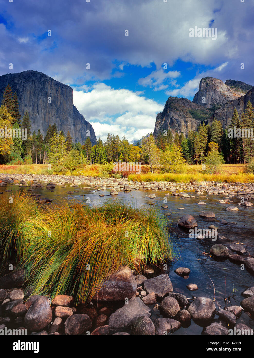 La rivière Merced, El Capitan, Sentinel Rock, Yosemite National Park, Californie Banque D'Images