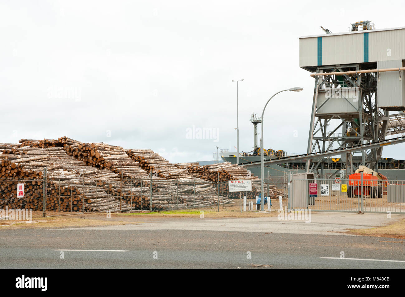 Scierie - Albany - Australie Banque D'Images
