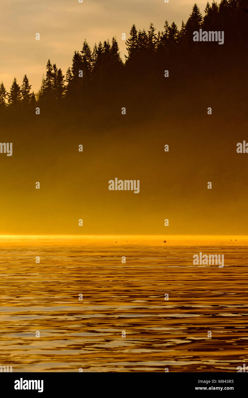 Brume D'or, le lac Bassenthwaite, District, Angleterre. Banque D'Images