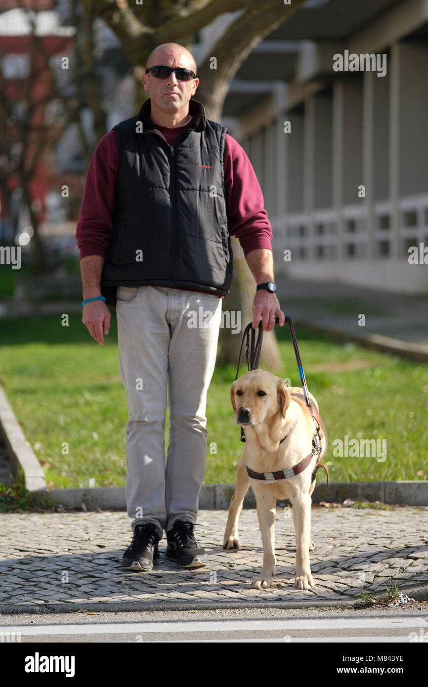Personne aveugle avec chien-guide en attendant de traverser la route Banque D'Images