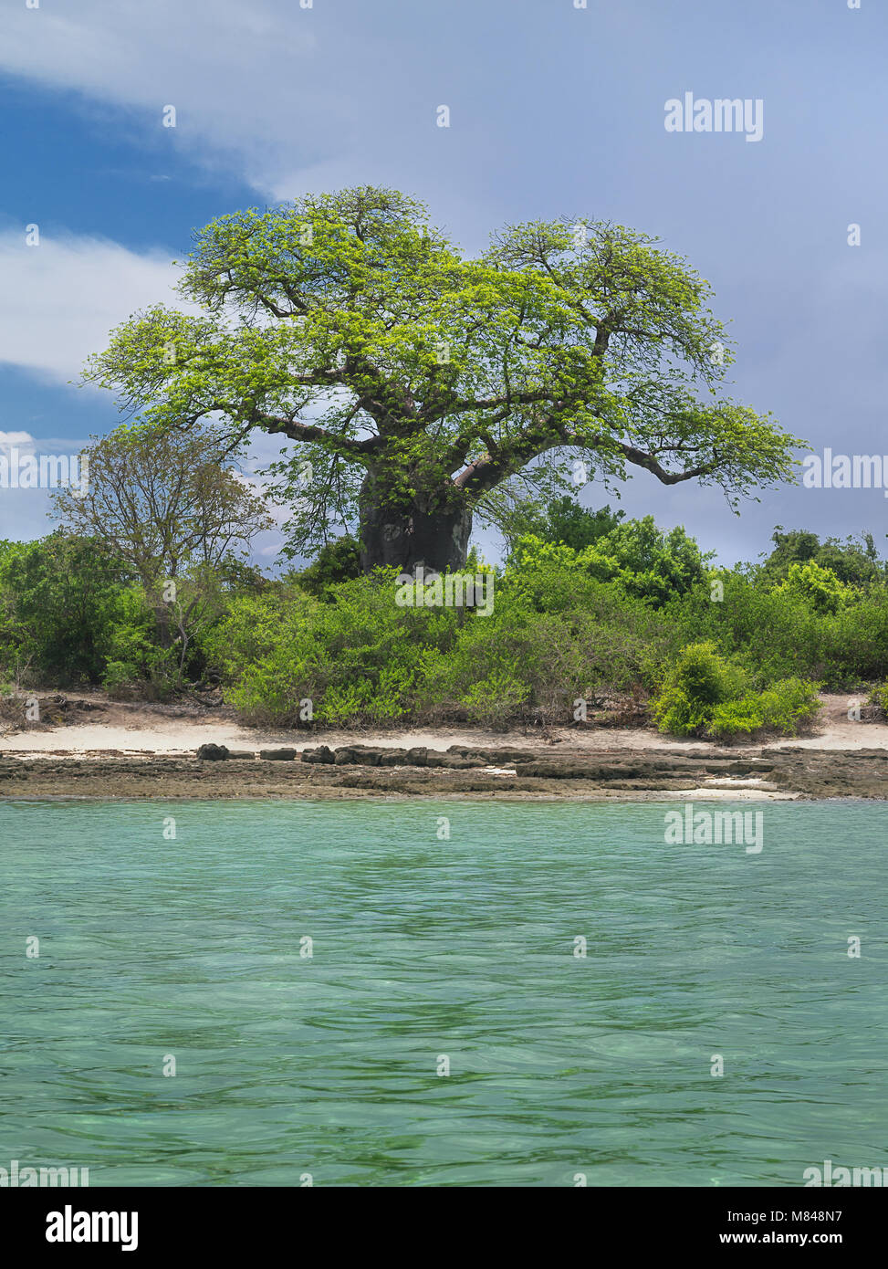 Vue de la côte de l'île de Zanzibar. Banque D'Images