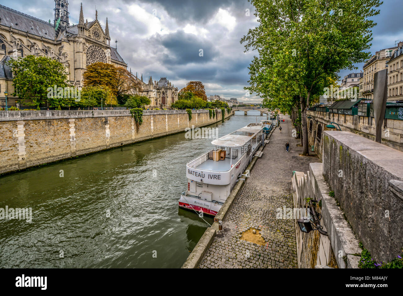 La Seine et bateau de tourisme le long de la berge avec le quartier gothique Cathédrale Notre Dame de voir un jour nuageux au début de l'automne à Paris France Banque D'Images