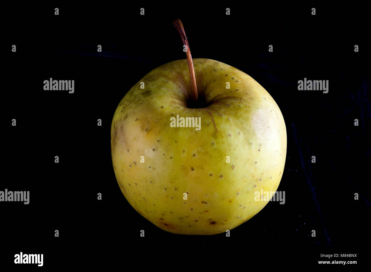 Vieux Cultivar Delicious Apple allemand Banque D'Images