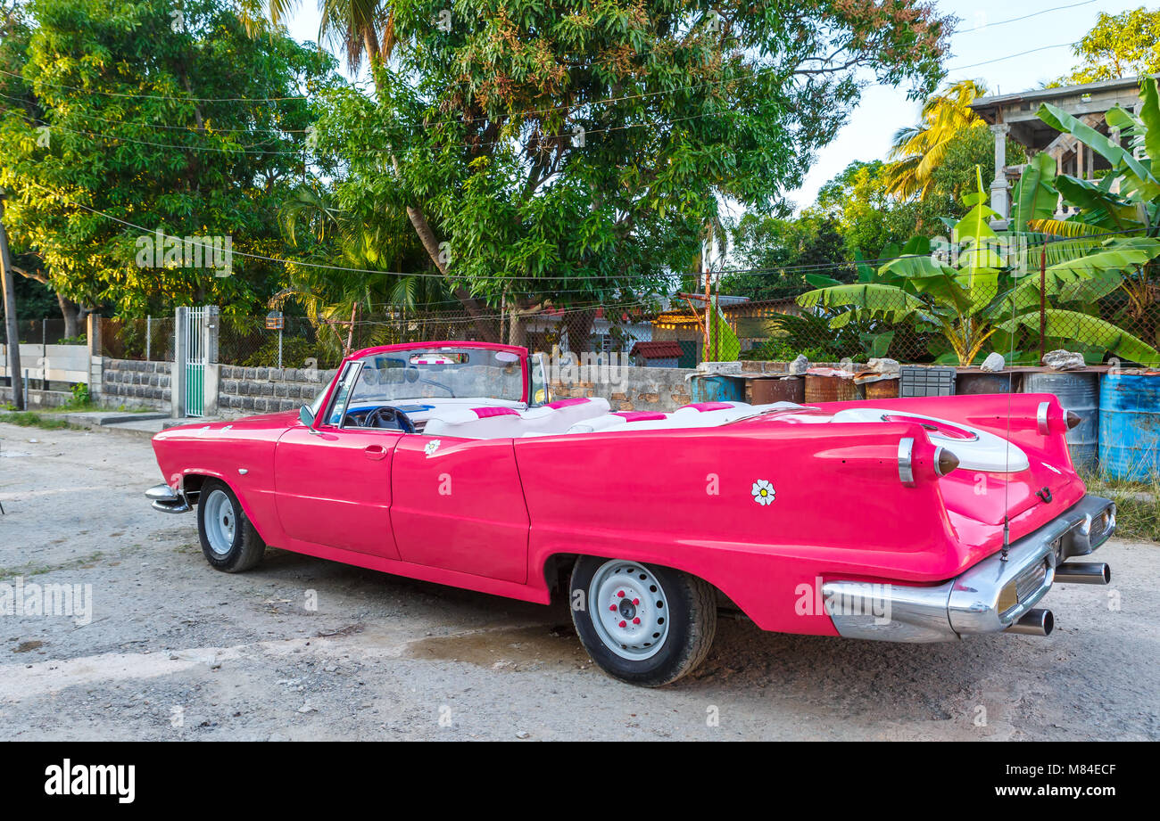 Rose brillant et lumineux à La Havane Cuba Convertible Banque D'Images