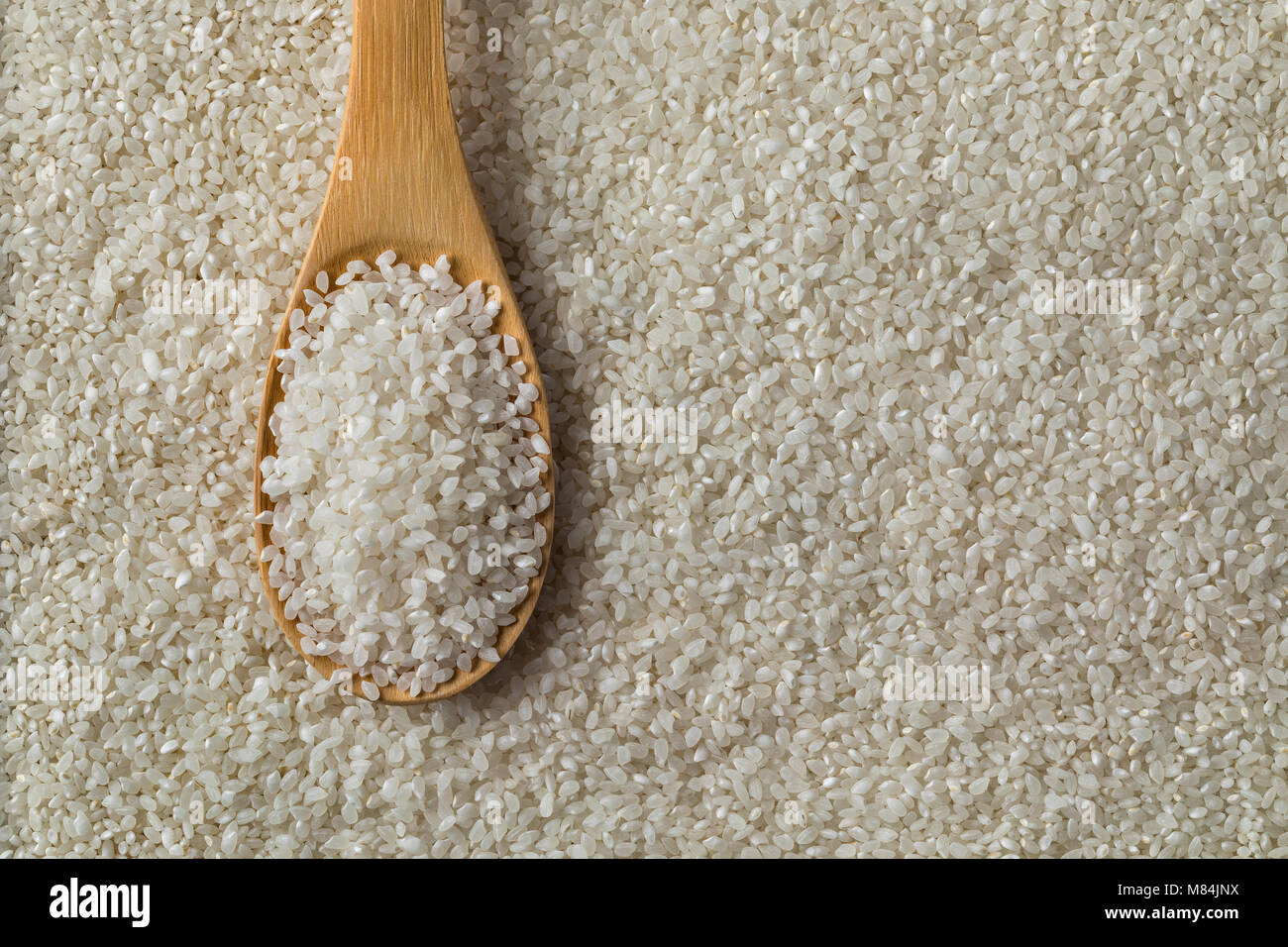 Les Japonais du riz à sushi et plein cadre en bois une sppon Banque D'Images