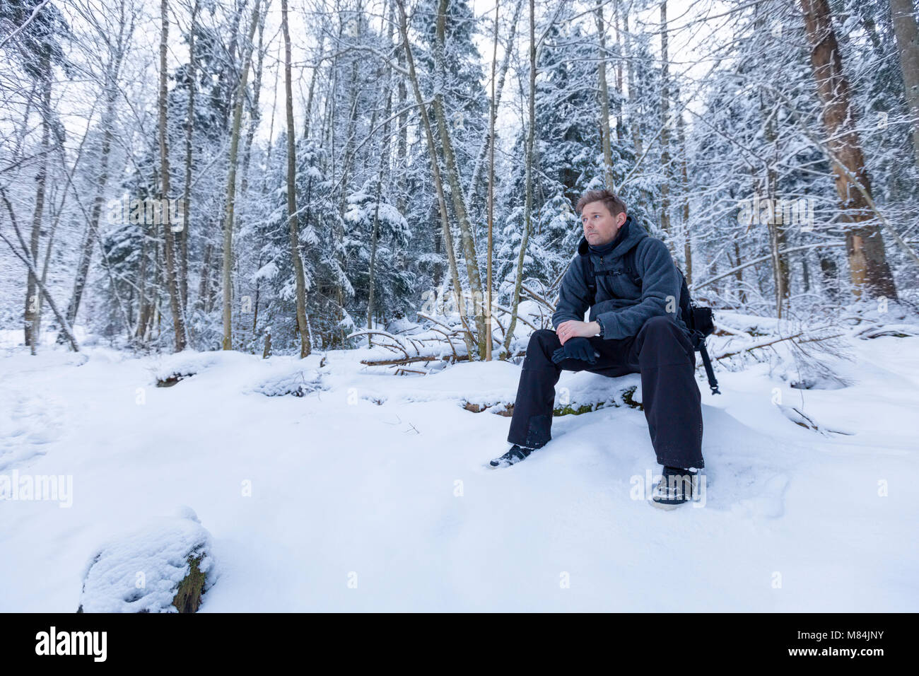 Homme adulte homme assis dans la forêt à l'écart en distance pensée dans un paysage d'hiver modèle libération : Oui. Biens : Non. Banque D'Images