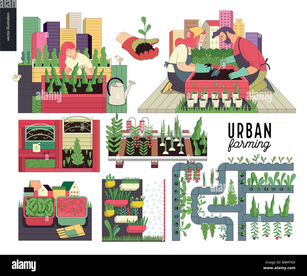 L'agriculture urbaine, le jardinage ou l'agriculture. La plantation, récolte, semis, la plantation en bois sur des rails, l'agriculture verticale et la culture hydroponique Illustration de Vecteur