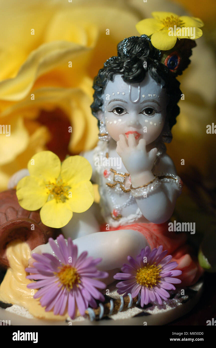 Shree Krishna Hare Krishna janmastami déité avec fleurs. bébé hindou Krishna butter l'outilsi Banque D'Images