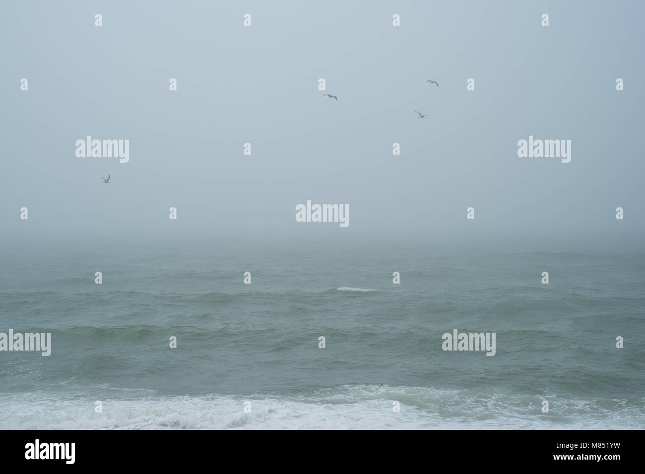 Des scènes de l'île de Nantucket plages vides sur un jour de printemps, le brouillard. Banque D'Images