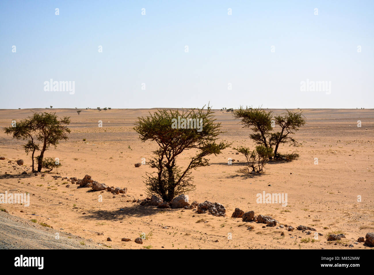 Paysage du Sahara occidental. Banque D'Images