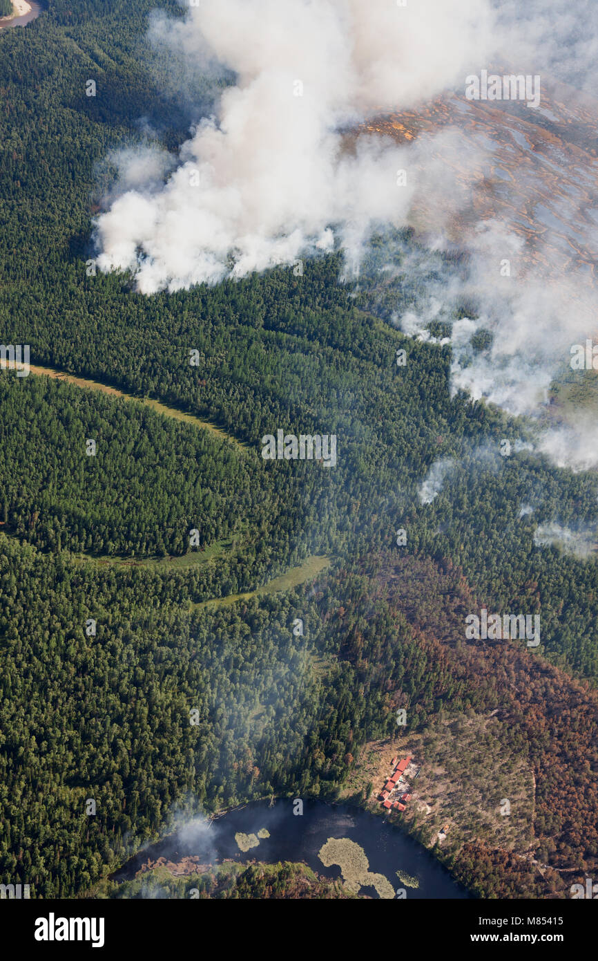 Vue aérienne des incendies en forêt Banque D'Images