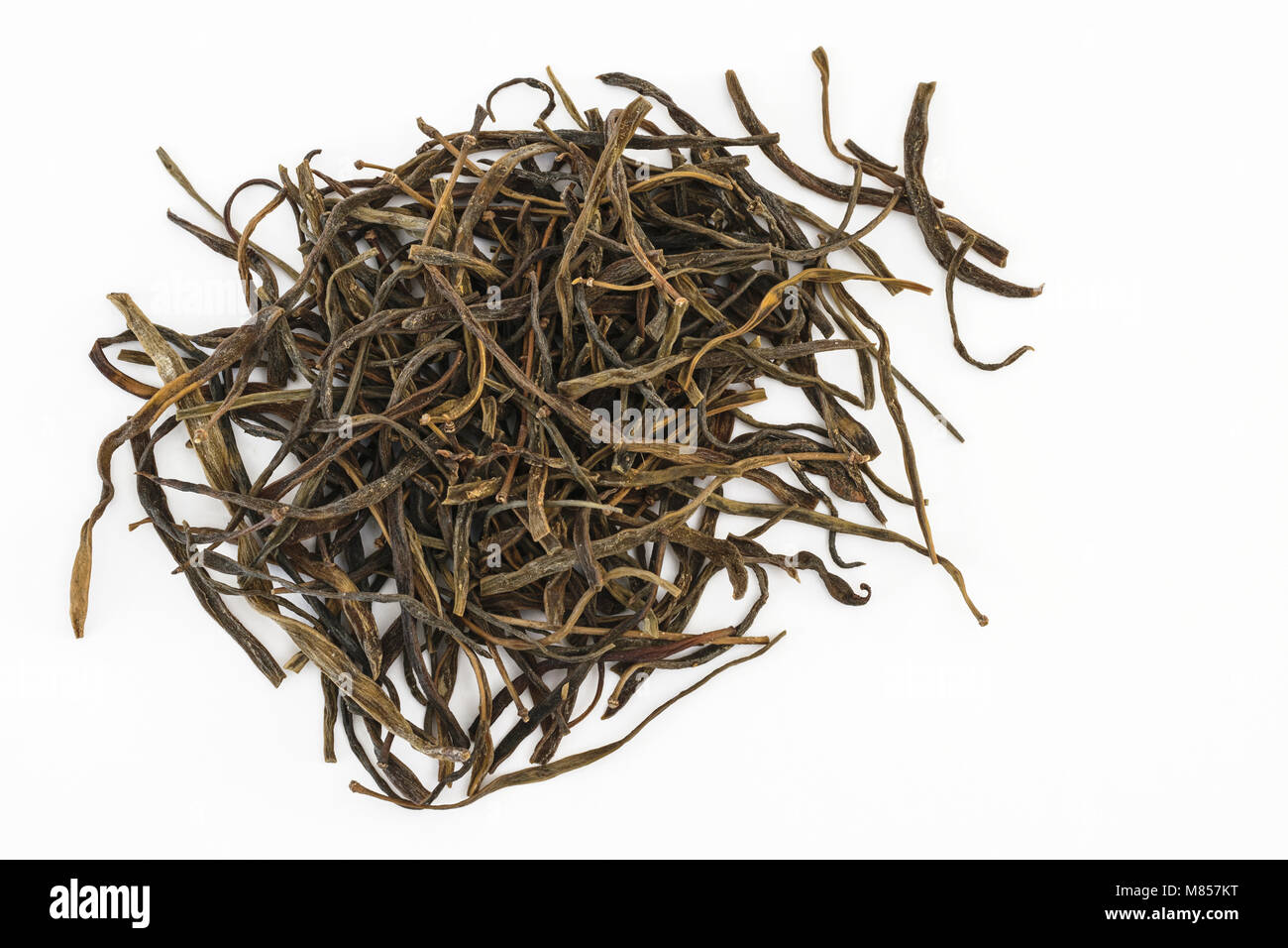 Sangri ou Indien mesquite (Prosopis cineraria) Banque D'Images