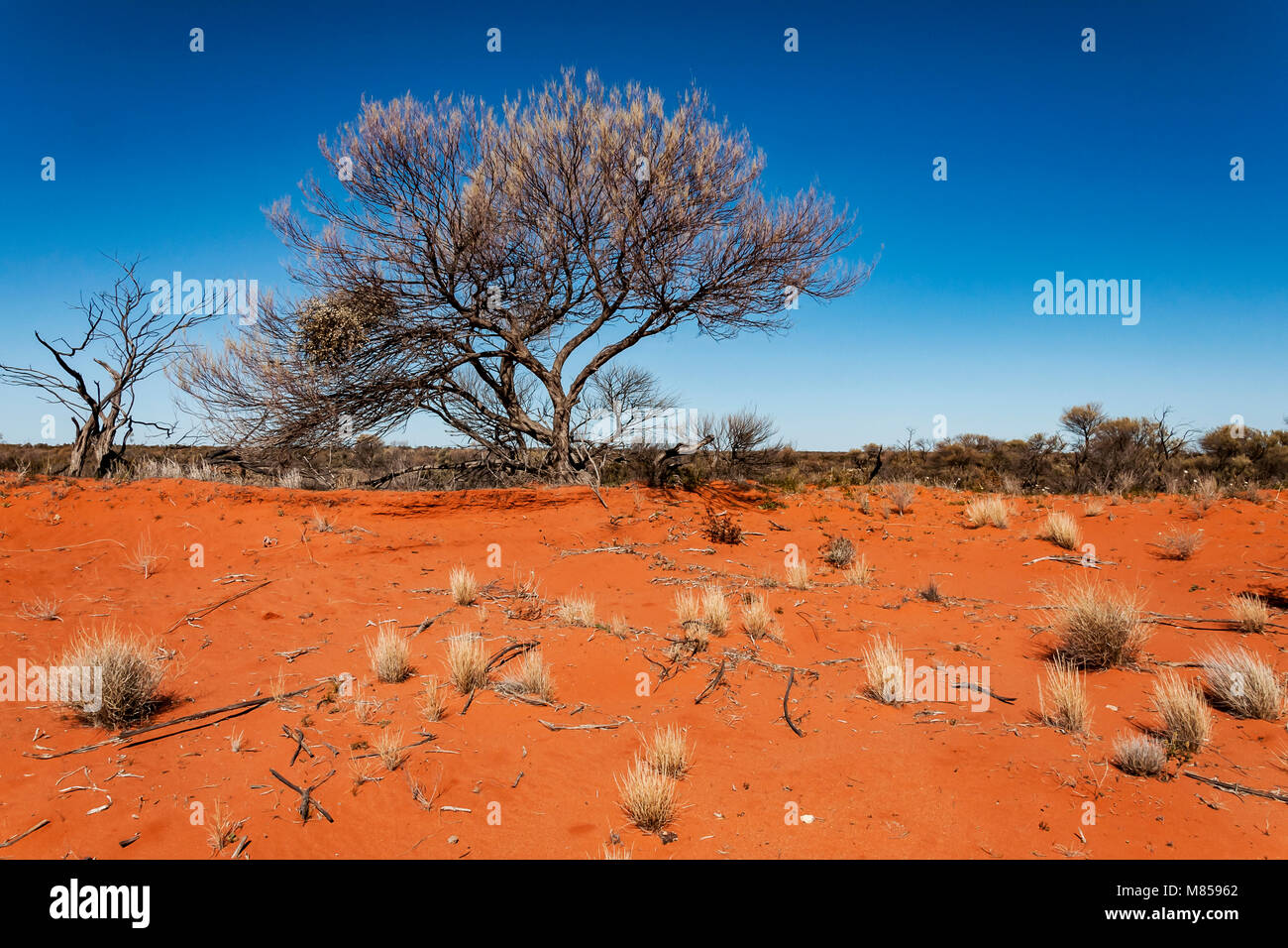 Paysage de l'Australie dans le Centre Rouge0 Banque D'Images