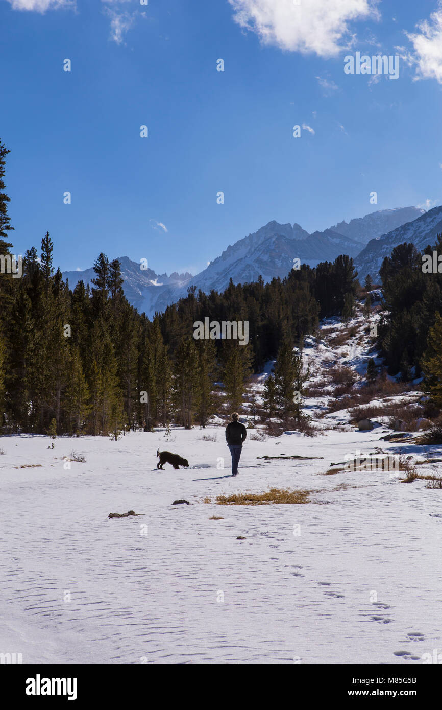 Femme promener son chien dans la neige avec arbres et montagnes en arrière-plan avec ciel bleu et nuages blancs dans les montagnes de la Sierra Nevada en Californie Banque D'Images