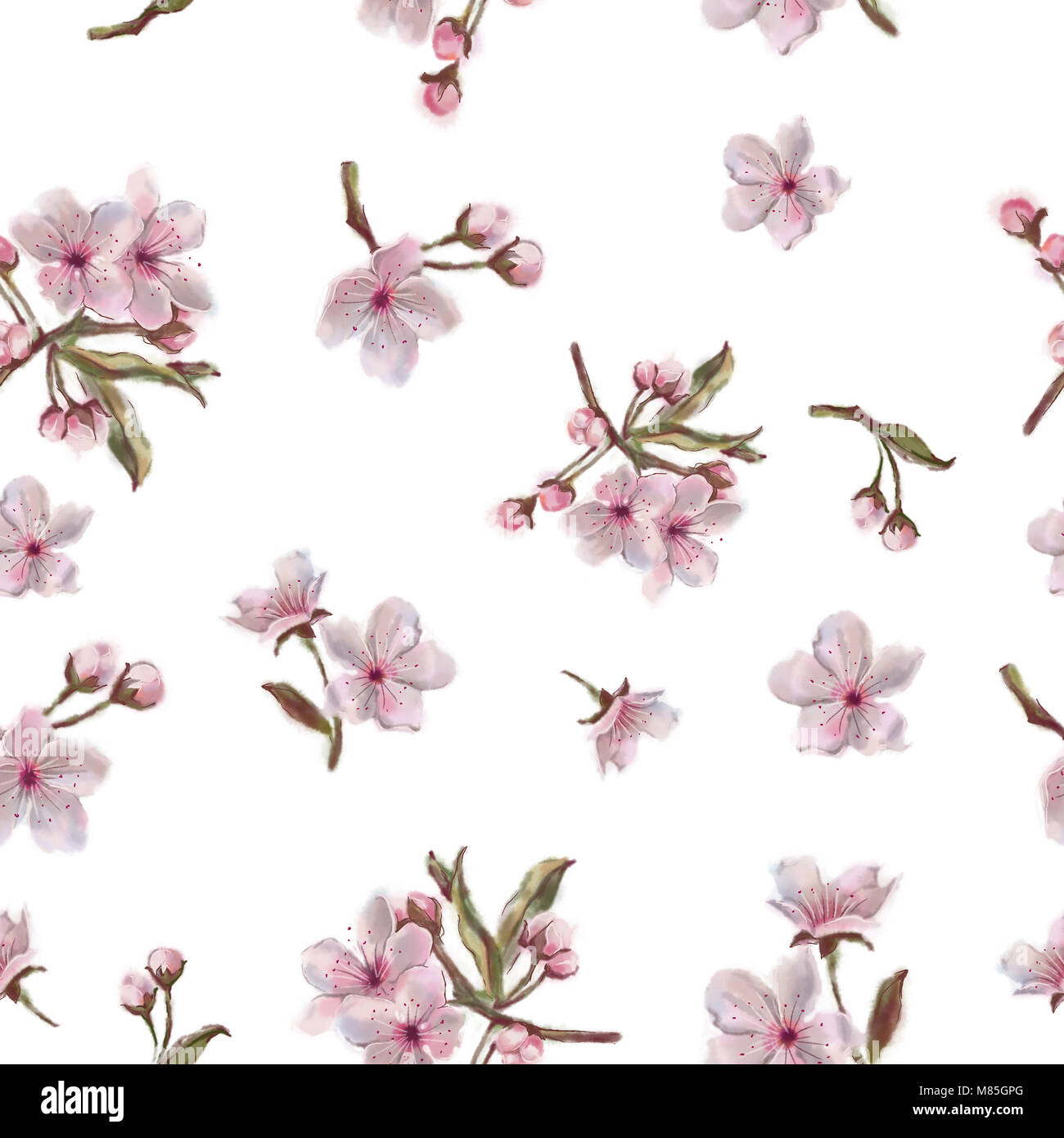 Motif floral Seamless isolé sur fond blanc. Apple, amande, Cherry Bloom Ressort Arrière-plan. Sakura. Transparente Banque D'Images