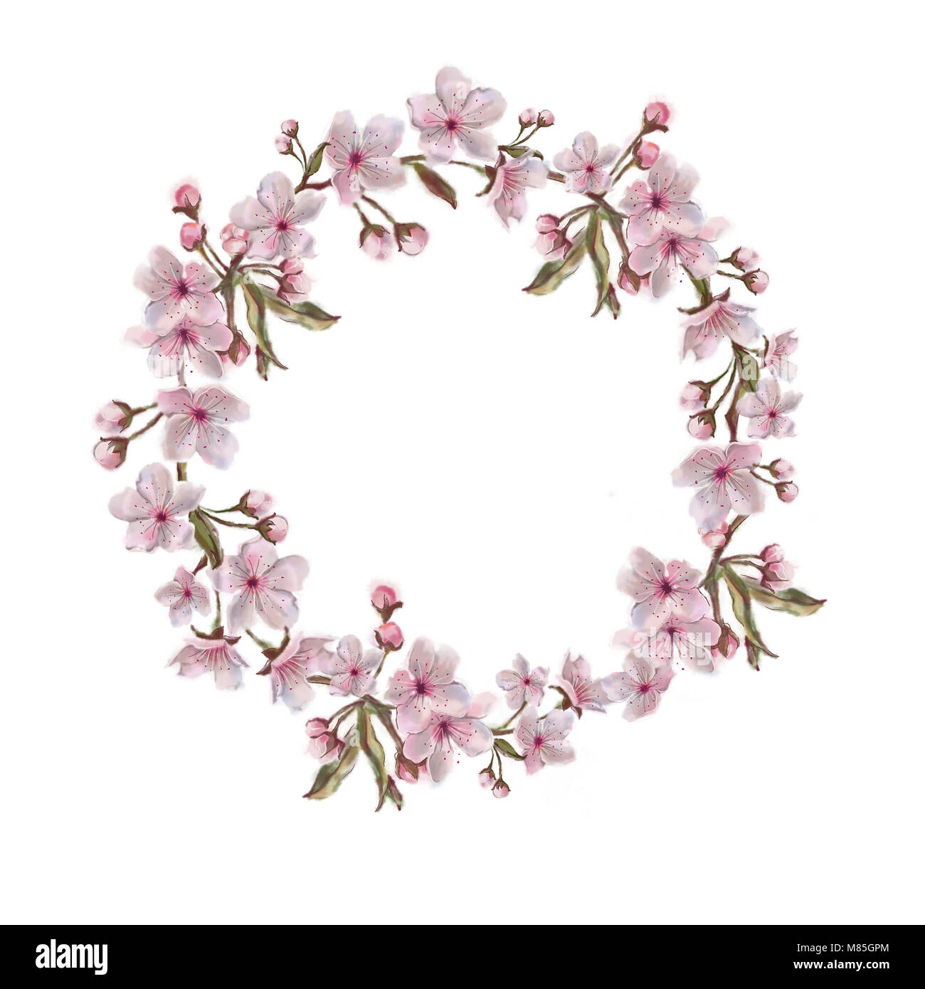 Couronne de fleurs isolé sur fond blanc. Fleurs de Printemps, peinte à l'Aquarelle. Sakura Blossom châssis circulaire avec copie espace texte. Banque D'Images