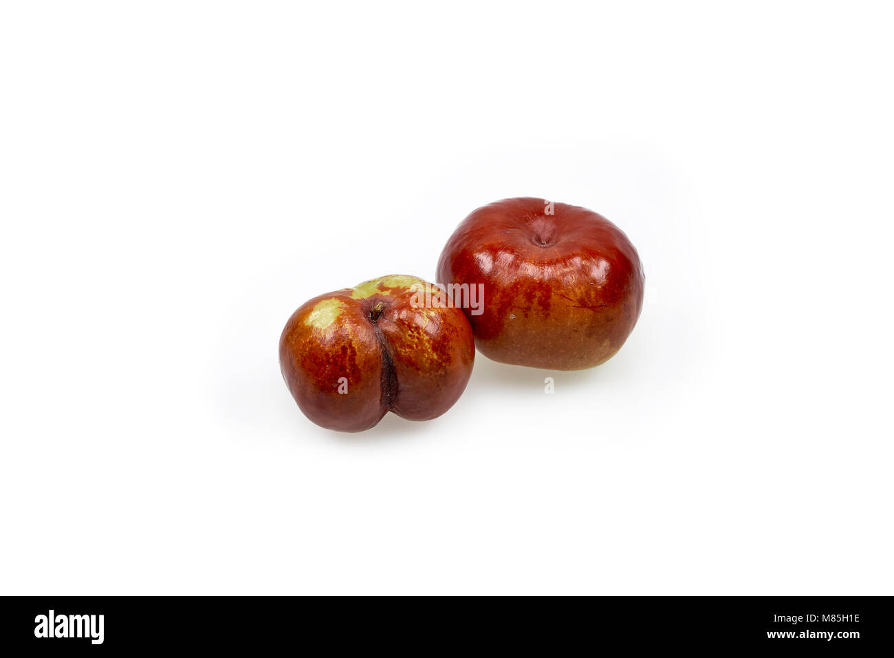 Fruits Jujube sur fond blanc Banque D'Images