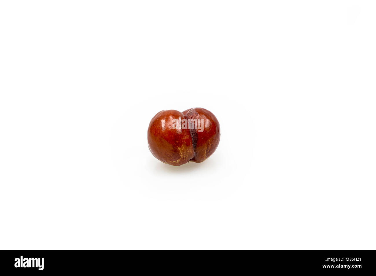 Fruits Jujube rouge, centré et date isolé sur fond blanc Banque D'Images