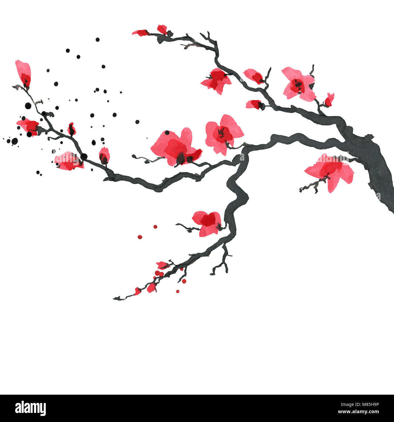 Arbre Sakura Dans Le Style Japonais Peinture A La Main A L Aquarelle Illustration Photo Stock Alamy