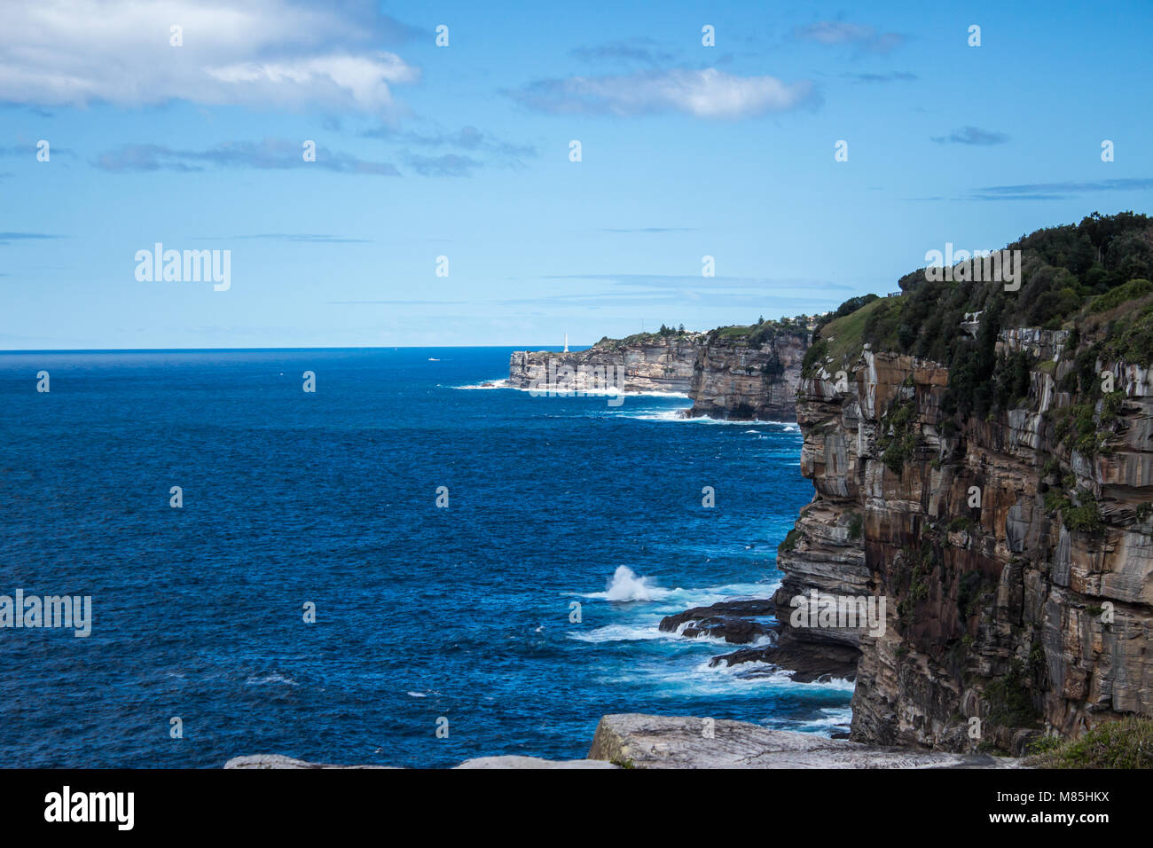 Falaise sur l'océan depuis la tête du Sud Australie Sydney à la hauteur en direction de Douvres et Bondi Banque D'Images